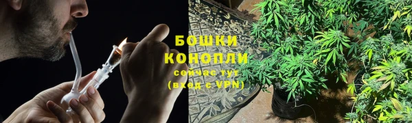 гашик Пересвет