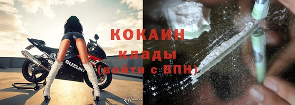 гашик Пересвет