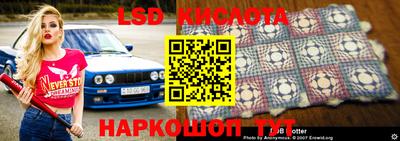 шишки Берёзовский