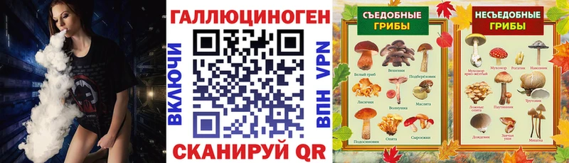 kraken ТОР  Зеленокумск  Псилоцибиновые грибы Psilocybe 