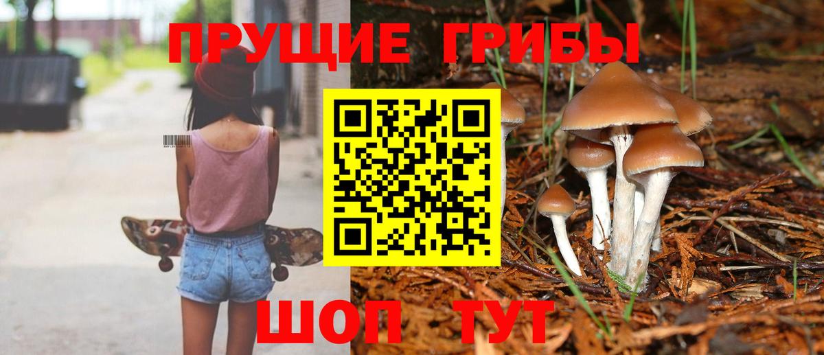 Галлюциногенные грибы ЛСД Зеленокумск
