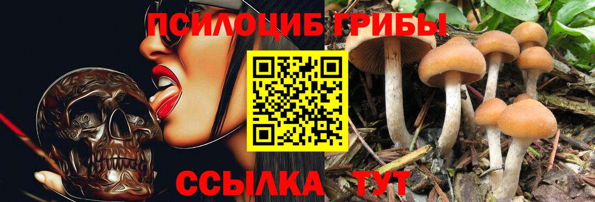 Галлюциногенные грибы мицелий  дарнет шоп  Зеленокумск 