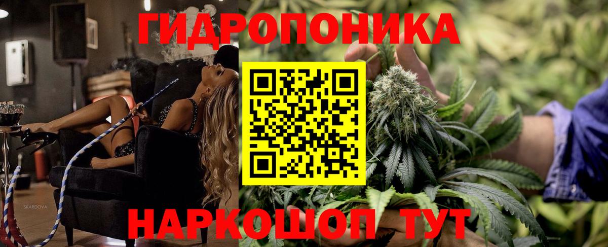 МАРИХУАНА конопля  Марихуана гибрид  Шишки марихуана Amnesia  Бошки марихуана семена  Зеленокумск 