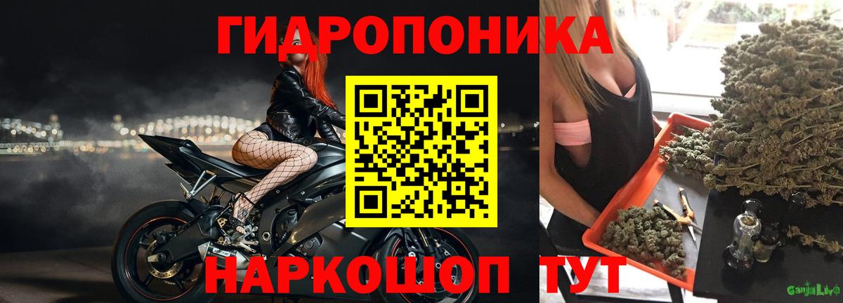 МАРИХУАНА Bruce Banner Зеленокумск